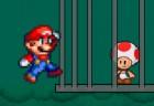 Super Mario: Save Toad