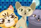 Cat Breeder 2: Cat Bathroom