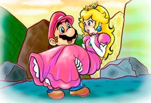 Mario Saves Princess Toadstool 2