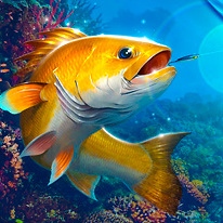 Fishing Hook