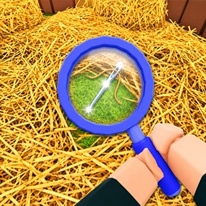 Search for the Needle